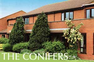 The Conifers